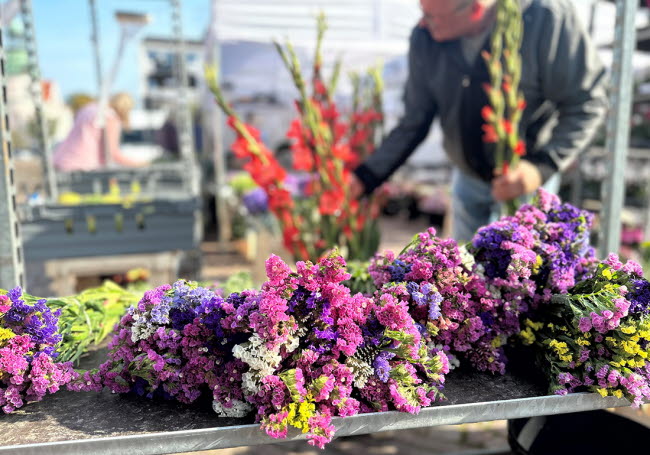 Närbild på färgglada blommor på en torgstånd.