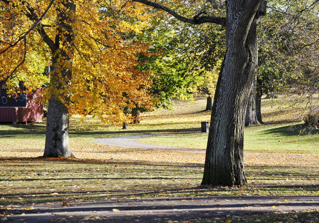 Höst i stadsparken.