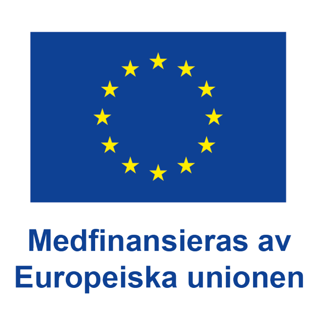 Flagga av europeiska unionen